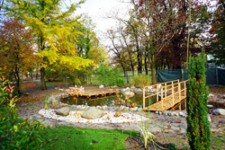 Revitalisierung Biotop Stadtpark Nach der Fertigstellung im Frühjahr 2024 wird der revitalisierte Biotop in neuem Glanz erstrahlen
