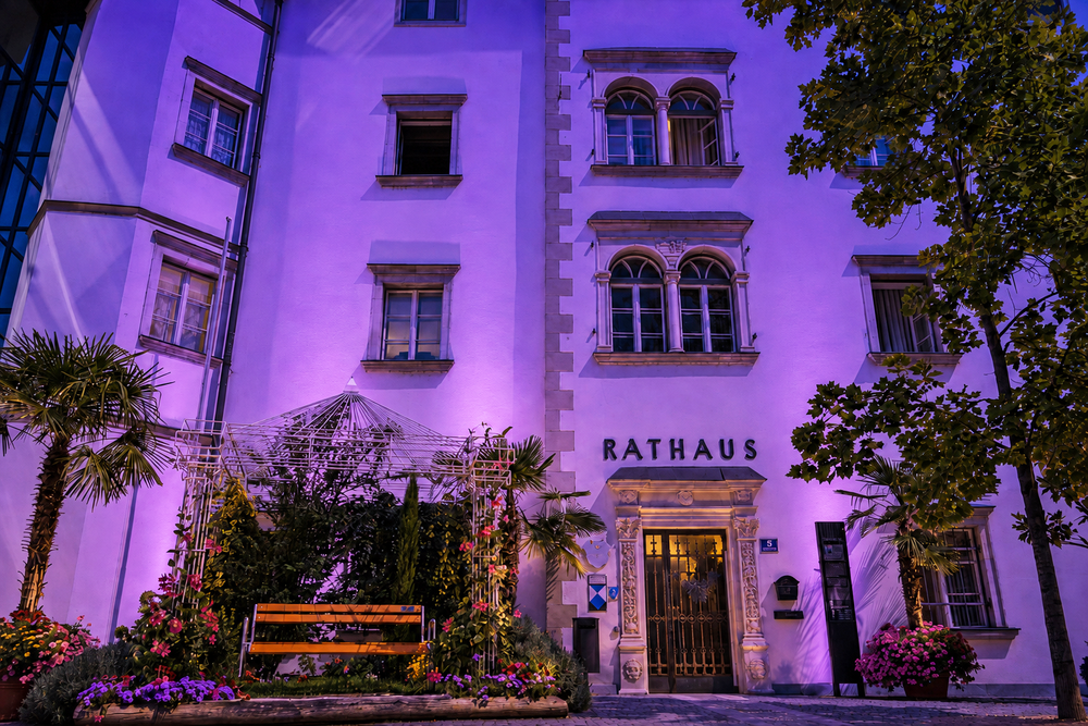 Rathaus in lila Beleuchtung mit Sitzbank und Bäumen am Abend