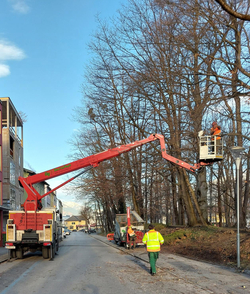 Bäume Sicherheitsschnitt Um die Sicherheit der Fußgänger und anderer Verkehrsteilnehmer zu gewährleisten, führt die Stadtgärtnerei im Auftrag des Bürgermeisters und in Zusammenarbeit mit den Bundesforsten jährlich eine Prüfung des Bestandes durch